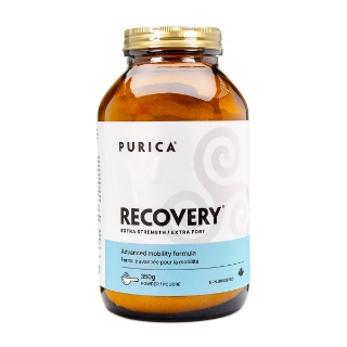 Picture of RECOVERY NUTRACEUTICAL XSTRENGTH POWDER (HUMAN GRADE) - 350gm