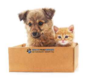 Picture for category Care Packages