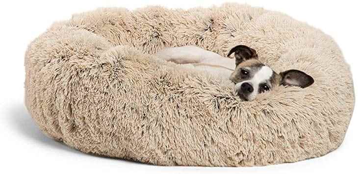 Picture for category Dog Beds
