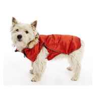 Picture of COAT BUSTER ACTIVE DOG High Risk Red - X Small