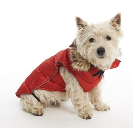 Picture of COAT BUSTER ACTIVE DOG High Risk Red - XX Small