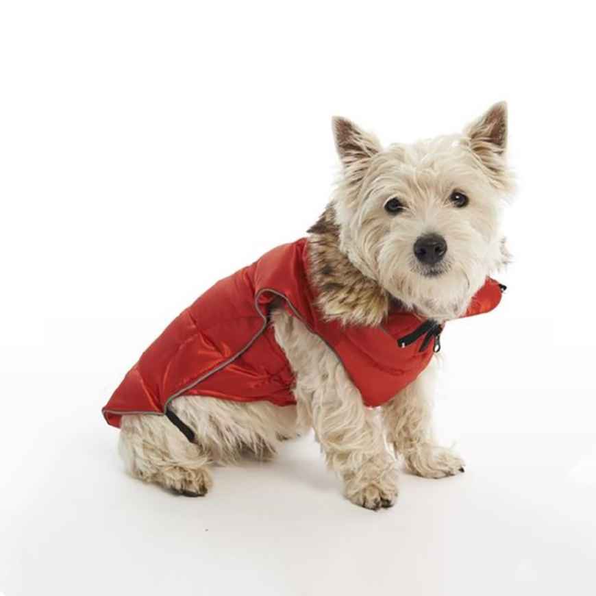 Picture of COAT BUSTER ACTIVE DOG High Risk Red - XX Small