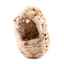 Show details for LIVING WORLD AVIAN SMALL MAIZE PEEL BIRD NEST for Finches (82013) Picture of LIVING WORLD AVIAN SMALL MAIZE PEEL BIRD NEST for Finches (82013)