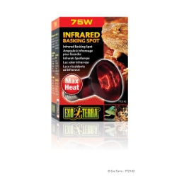Picture of EXO TERRAHEAT GLO INFRARED SPOT LAMP 75w (PT2142) 