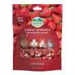 Picture of OXBOW SIMPLE REWARDS STRAWBERRY TREATS - 15g/0.5oz