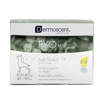 Picture of DERMOSCENT PYO-SPOT for DOGS 20 to 40kg - 4 x 2.4ml