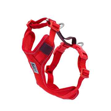Picture of MOTO CONTROL HARNESS  Goji Berry/Burgundy - X Large