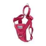 Picture of HARNESS CANINE RC TEMPO NO PULL Small - Heather Azalea