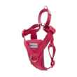 Picture of HARNESS CANINE RC TEMPO NO PULL Medium - Heather Azalea