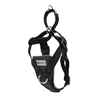 Picture of HARNESS RC TEMPO NO PULL Large - Heather Black