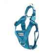 Picture of HARNESS RC TEMPO NO PULL Large - Heather Teal