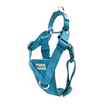 Picture of HARNESS TEMPO NO PULL Heather Teal (S-XL)