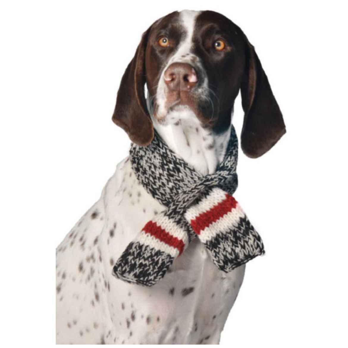 Picture of SCARF CANINE Chilly Dog Boyfriend Black/White/Red - Medium