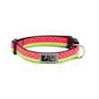 Picture of COLLAR RC CLIP Adjustable Watermelon - 5/8in x 7-9in
