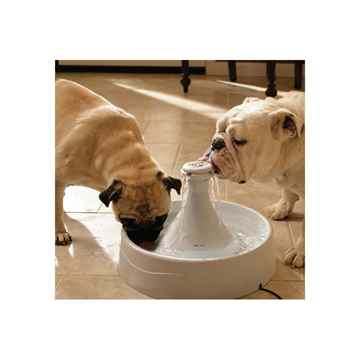 Picture of DRINKWELL 360 PET FOUNTAIN Plastic - 128oz