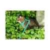 Picture of LEAD AND HARNESS COMBO FELINE RC ADVENTURE KITTY Small - Teal