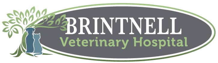 Brintnell Veterinary Hospital