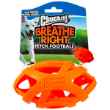 Picture of TOY DOG CHUCKIT Air Fetch Football