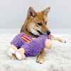 Picture of TOY DOG KONG Sherps Llama - Medium