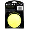 Picture of TOY DOG SPUNKY PUP Fetch & Glow Ball Large - 1/pk