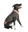Show details for SWEATER CANINE Chilly Dog Classic Boyfriend Grey - X Small Picture of SWEATER CANINE Chilly Dog Classic Boyfriend Grey - X Small