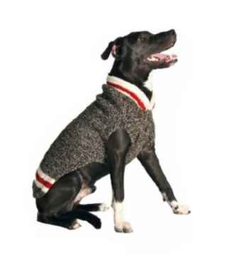 Show details for SWEATER CANINE Chilly Dog Classic Boyfriend Grey - X Small Picture of SWEATER CANINE Chilly Dog Classic Boyfriend Grey - X Small