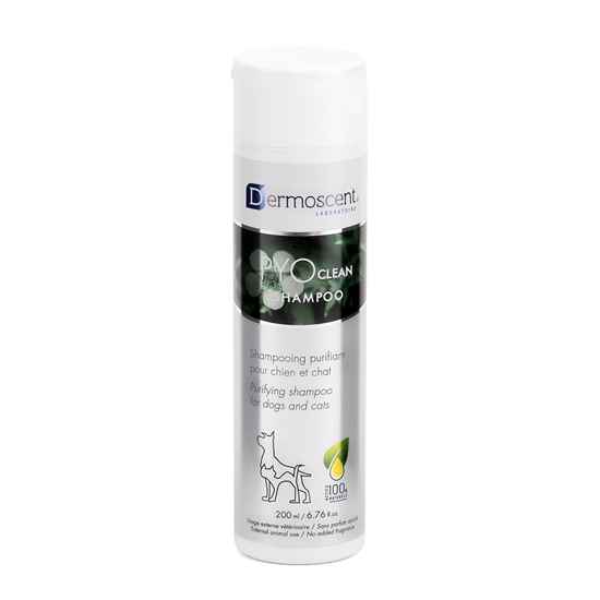 Picture of DERMOSCENT PYOCLEAN SHAMPOO for DOGS and CATS - 6.76oz/200ml