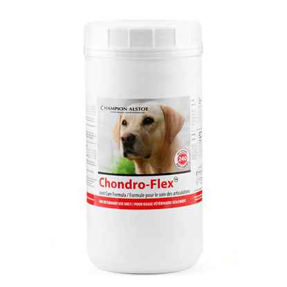 Picture of CHONDRO FLEX  SOFT CHEWS - 240's