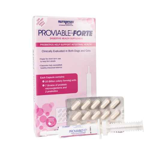 Picture of PROVIABLE FORTE KIT for CATS & SMALL DOGS 15ml + 15 CAPS