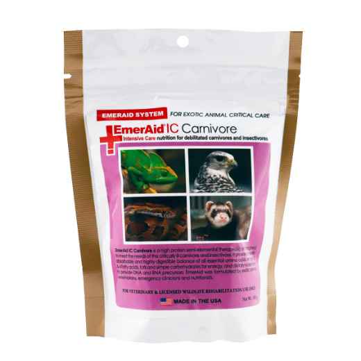 Picture of EMERAID INTENSIVE CARE CARNIVORE - 100g