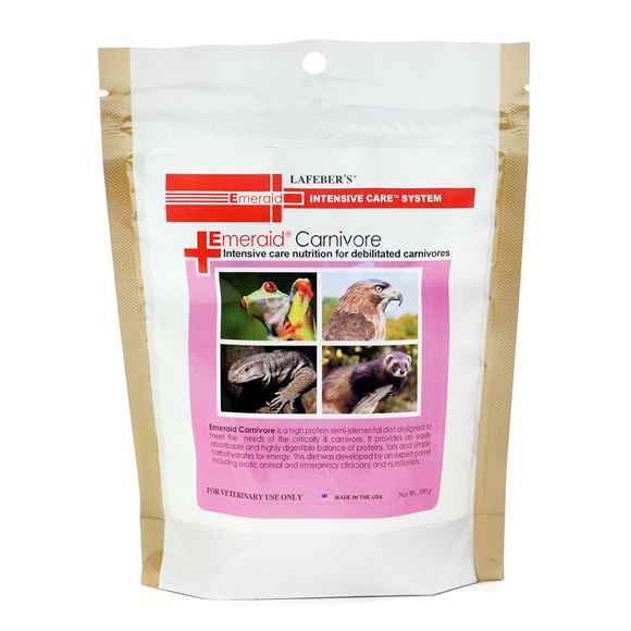 Picture of EMERAID INTENSIVE CARE CARNIVORE - 100g pouch