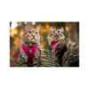 Picture of LEAD AND HARNESS COMBO FELINE RC ADVENTURE KITTY Medium - Raspberry