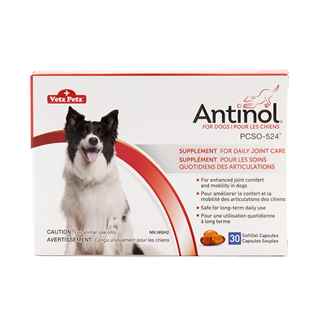 Picture of ANTINOL for DOGS - 30s