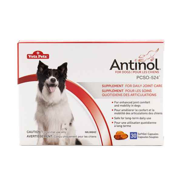 Picture of ANTINOL for DOGS - 30s