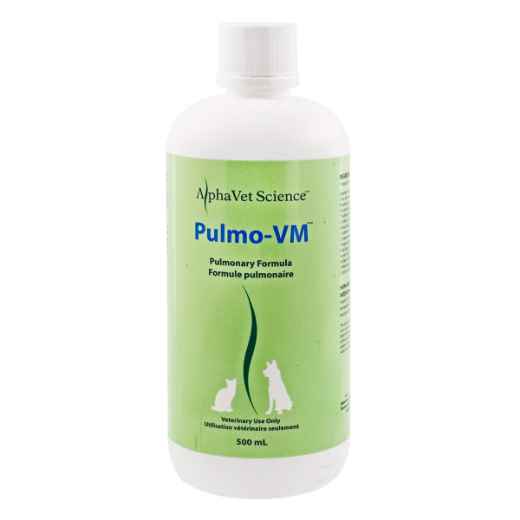 Picture of OMEGA ALPHA PULMO-VM PULMONARY FORMULA - 500ml