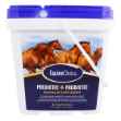 Picture of EQUINE CHOICE PREBIOTIC + PROBIOTIC GRANULAR - 9.3lb / 4.2kg