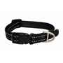 Picture of COLLAR CANINE ROGZ UTILITY FIREFLY Black - 3/8in x 6-8.5in