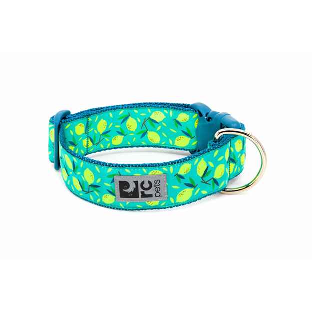 Picture of COLLAR RC CLIP WIDE Adjustable Lemonade (Sizes Available)