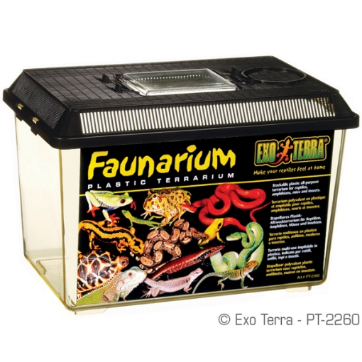 Picture of EXO TERRA FAUNARIUM (PT2260) - 12inx7.5inx8in