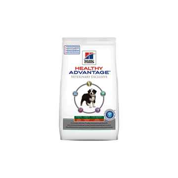 Picture of CANINE HILLS HEALTHY ADVANTAGE PUPPY LG BREED - 12lb / 5.44kg