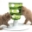 Show details for CATIT SENSES 2.0 FOOD TREE Picture of CATIT SENSES 2.0 FOOD TREE