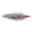 Show details for TOY CAT GO CAT  ACCESSORY  Fur Fun - 6in Picture of TOY CAT GO CAT  ACCESSORY  Fur Fun - 6in