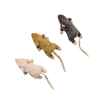 Picture of TOY CAT SPOT Flat Mouse Frankie with Catnip Assorted - 5.5in