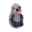 Show details for TOY CAT TURBO CATNIP BELLY CRITTER Hedgehog(81024)- 6.5in Picture of TOY CAT TURBO CATNIP BELLY CRITTER Hedgehog(81024)- 6.5in