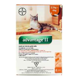 Picture of ADVANTAGE II ORANGE 4 x 0.4ml CATS UNDER 4KG (su 12)