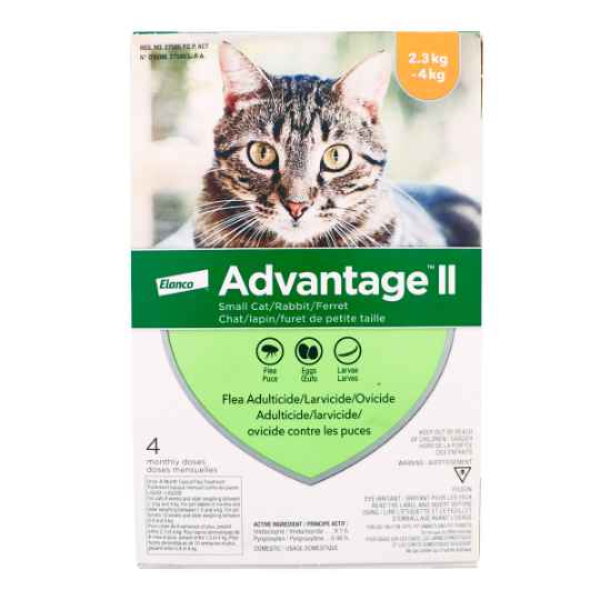 Picture of ADVANTAGE II ORANGE 4 x 0.4ml CATS UNDER 4KG (su 12)