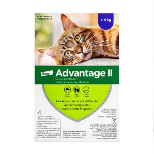 Picture of ADVANTAGE II FELINE LARGE CAT OVER 4kg - 4's (su12)