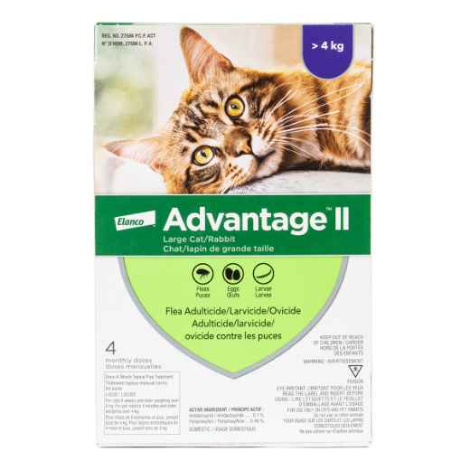 Picture of ADVANTAGE II PURPLE 4 x 0.8ml CATS OVER 4KG (su12)