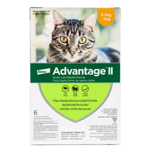 Picture of ADVANTAGE II FELINE SMALL CAT 2.3kg - 4kg - 6's (su12)