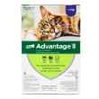 Picture of ADVANTAGE II PURPLE 6 x 0.8ml CATS OVER 4KG (su 12)